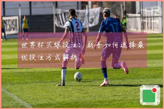 世界杯买球投注:新手如何选择最优投注方式解析