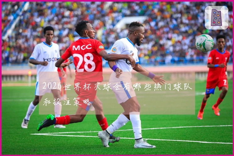 2026世界杯买球会有哪些热门球队和投注策略