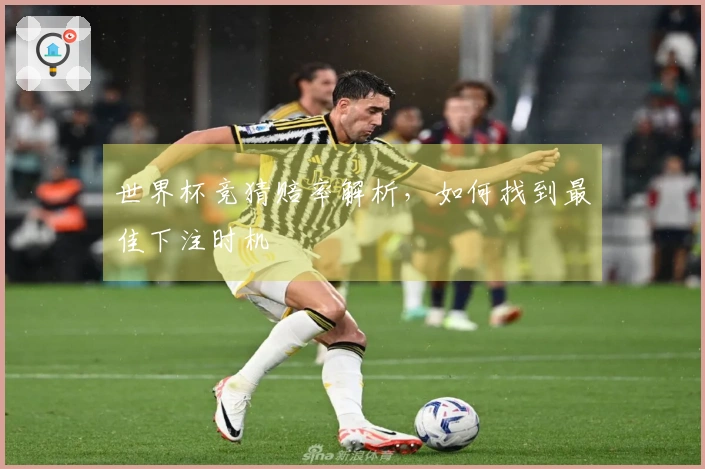 世界杯竞猜赔率解析，如何找到最佳下注时机