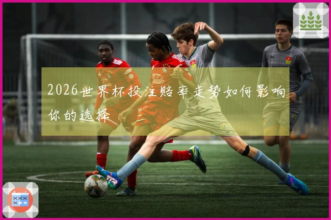 2026世界杯投注赔率走势如何影响你的选择