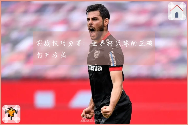 实战技巧分享：世界杯买球的正确打开方式