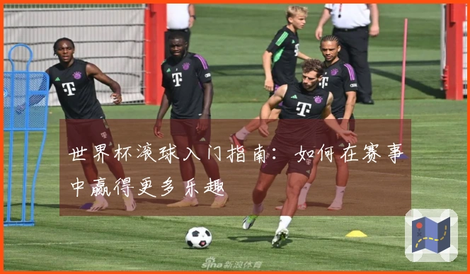 世界杯滚球入门指南：如何在赛事中赢得更多乐趣