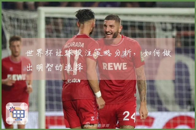 世界杯让球投注策略分析，如何做出明智的选择