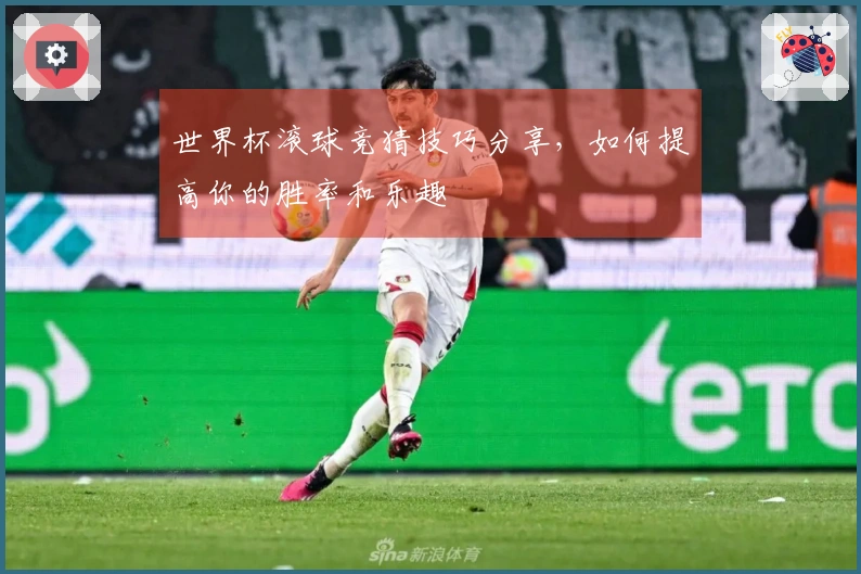 世界杯滚球竞猜技巧分享，如何提高你的胜率和乐趣