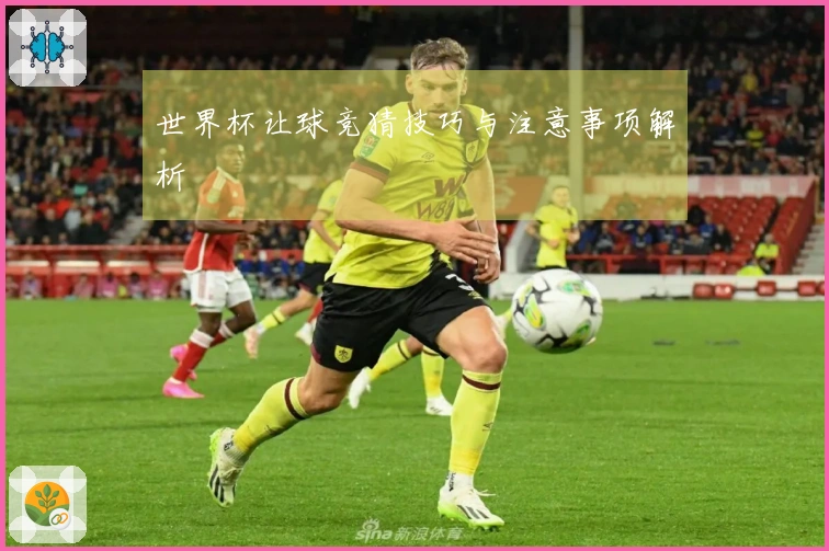 世界杯让球竞猜技巧与注意事项解析